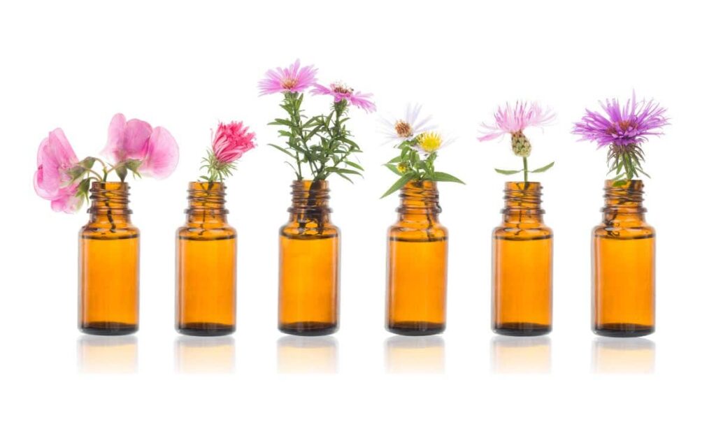 Les bienfaits des 38 fleurs de bach