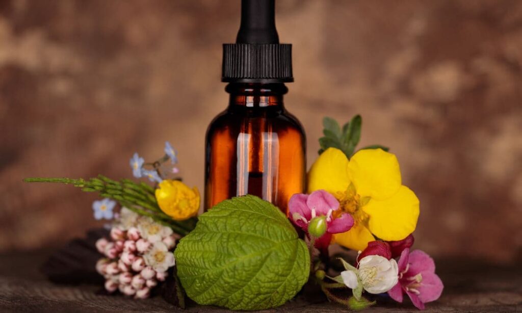 Tout savoir sur les 38 fleurs de bach